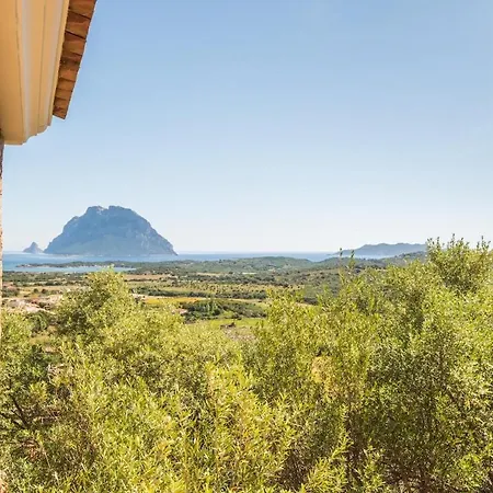 Ferienhaus Buena Vista - Breathtaking Sea And Tavolara View