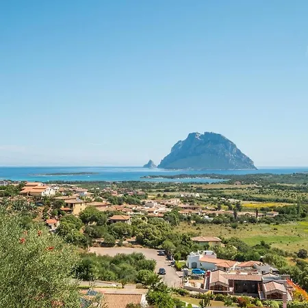 Ferienhaus Buena Vista - Breathtaking Sea And Tavolara View *