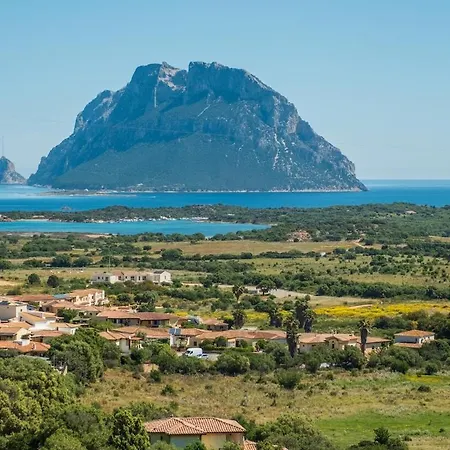 Buena Vista - Breathtaking Sea And Tavolara View Ferienhaus